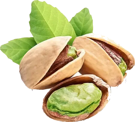 Pistaći